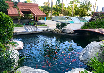 園區(qū)相冊(cè)