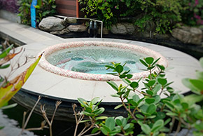 戴思樂(lè)園區(qū)