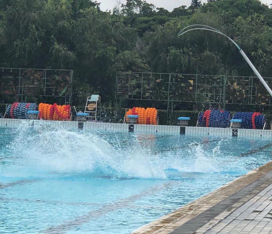 戴思樂游泳館,戴思樂泳池，游泳館運(yùn)營管理