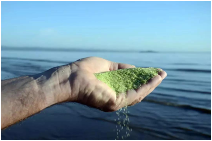 別墅泳池，別墅泳池設(shè)備，別墅泳池設(shè)備有哪些類型？