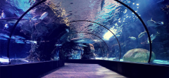 海洋館維生系統(tǒng)是什么？其作用是?