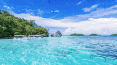 <b>是什么竟把“小而美”的泳池，變成了廣闊無垠的汪洋大海？</b>