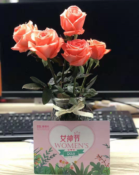 戴思樂(lè),戴思樂(lè)集團(tuán)