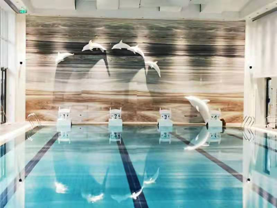 關(guān)于泳池水質(zhì)問題，水處理系統(tǒng)是關(guān)鍵！