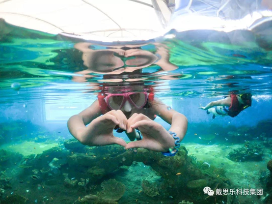 海洋浮潛館，海洋館設(shè)備