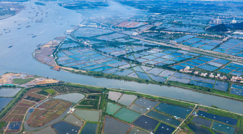 魚塘尾水治理新篇章，戴思樂為您解鎖綠色漁業(yè)養(yǎng)殖的秘密！