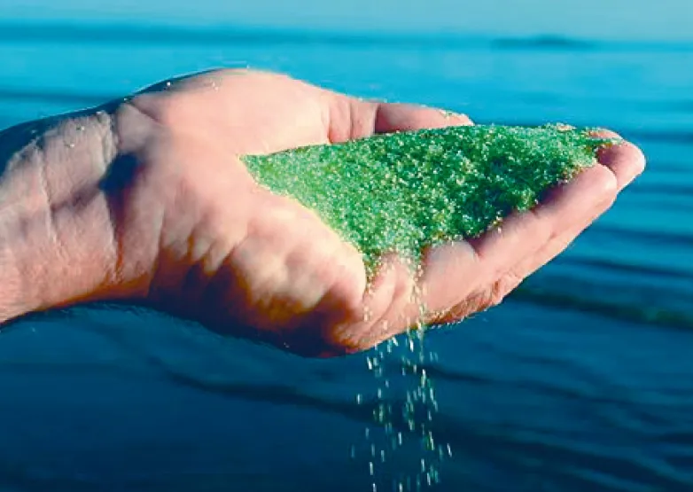 低氯水處理系統(tǒng),低氯水處理系統(tǒng)改造,游泳池改造低氯升級(jí)