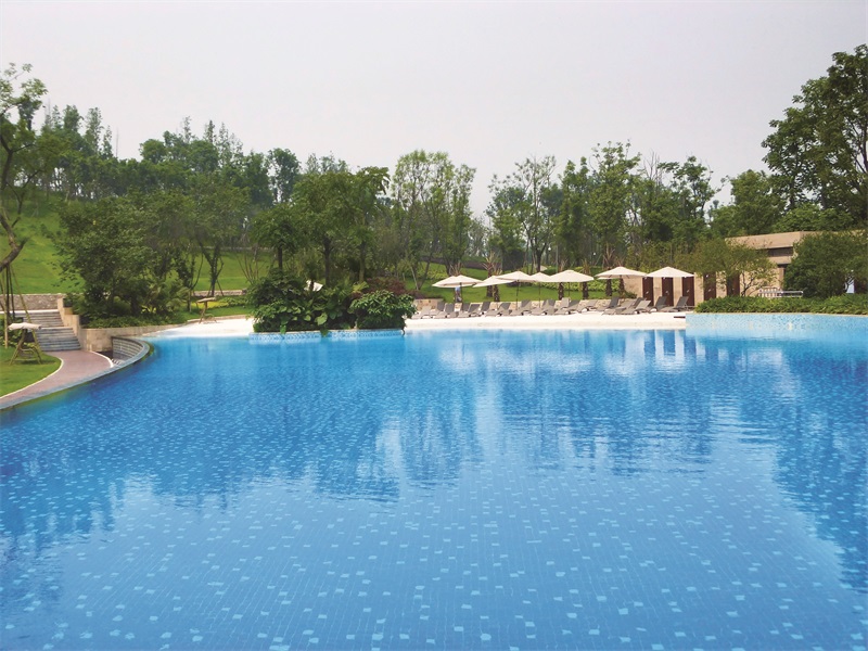 游泳池水泵哪家好？戴思樂(lè)1480水泵，為您保駕護(hù)航！