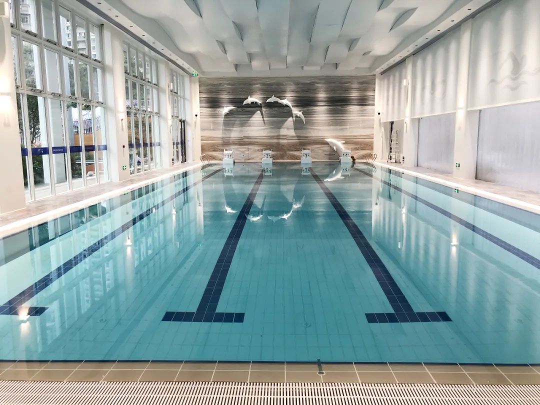 專業(yè)剖析!打造健康游泳池,這些水處理設備必不可少