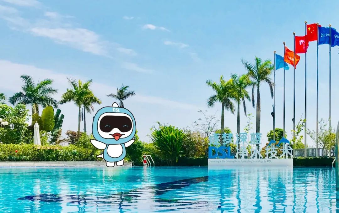 <b>泳池水清澈見底的秘密，游泳池水龜大揭秘？</b>