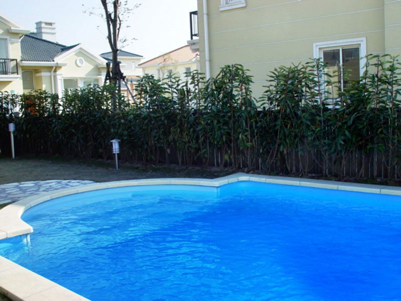 告別泳池水底污垢，這款游泳池水龜是 “神器”！